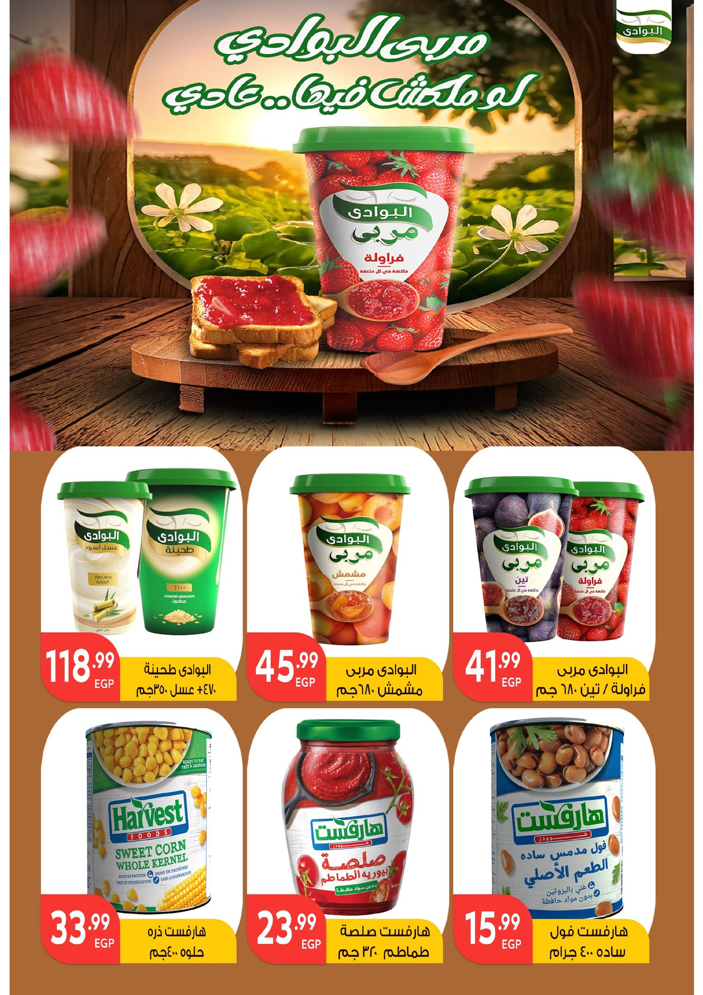 el-mahallawy-sons offers from 15may to 31may 2025 عروض اولاد المحلاوى من 15 مايو حتى 31 مايو 2025 صفحة رقم 51